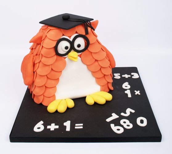 Owl
