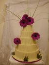 Choc Curls Gerbera Wedding Cake
