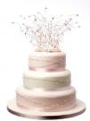 Enchanted Wedding Cake